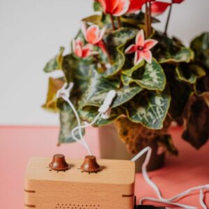 PhytoHarmonia