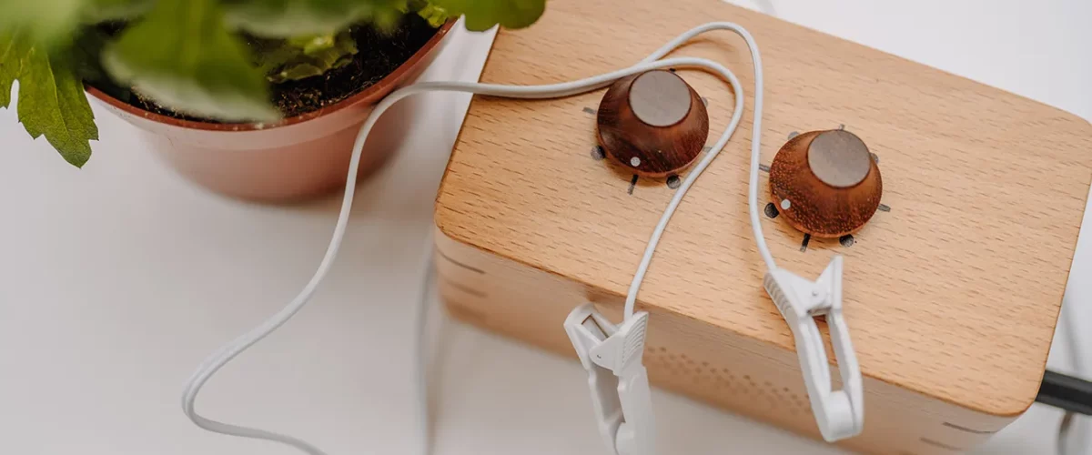 PhytoHarmonia Zen- When Nature Becomes Living Music